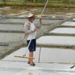 salines 2025 (15)